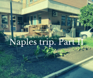 The entrance of the maristi school is shown with a big text in white letters that says Naples trp. Part II