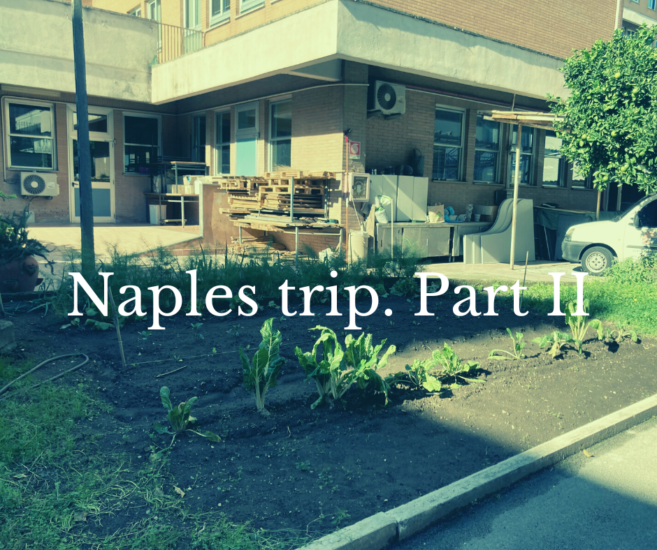 The entrance of the maristi school is shown with a big text in white letters that says Naples trp. Part II